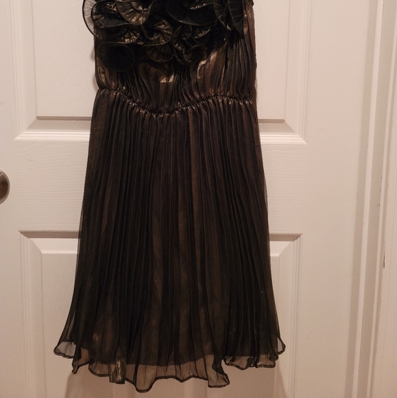 Dress - Picture 5 of 5